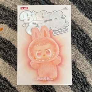 Pop Mart Big Into Energy Vinyl Plush Pendant Blind Box